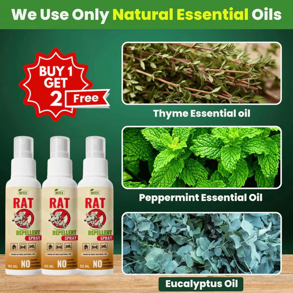Termite Killer Spray - Effective solution for home ( Buy 1 Get 2 FREEš„)