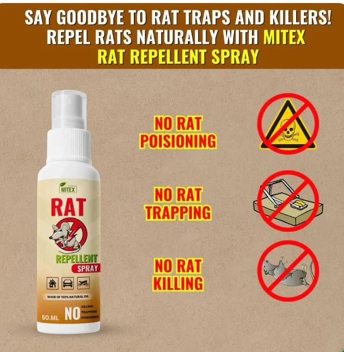 Termite Killer Spray - Effective solution for home ( Buy 1 Get 2 FREEš„)