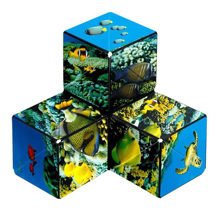 STARKIDS⢠Transformer Magnetic Cube š§²š