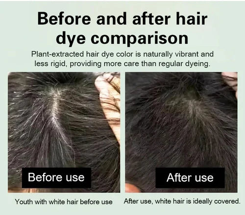 ✨Japanese Long Lasting Natural Hair Dye Shampoo ( Buy 1 Get 1 Free )🔥