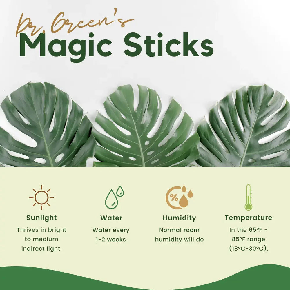 Dr.Green's - Magic Plant Sticks ( BUY 1 GET 1 FREE )