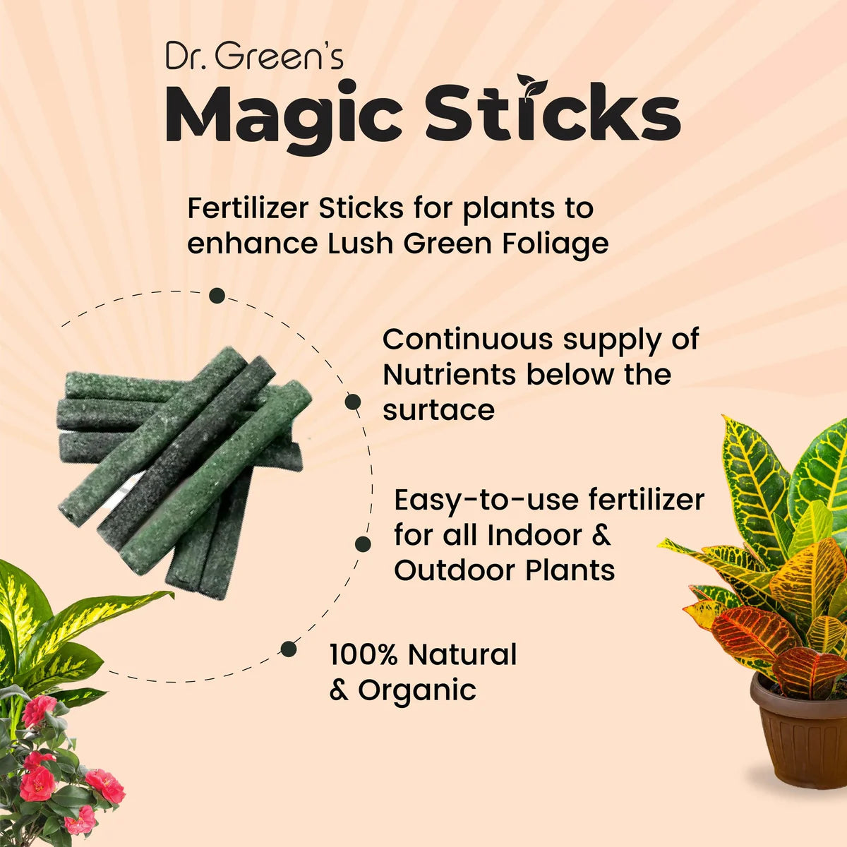 Dr.Green's - Magic Plant Sticks ( BUY 1 GET 1 FREE )