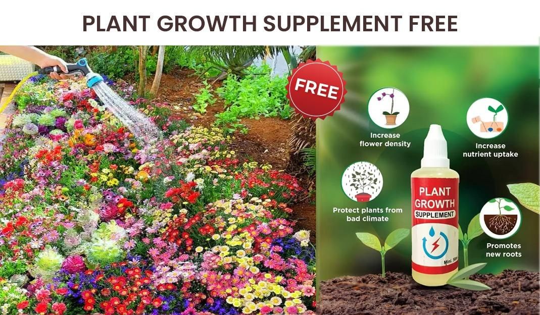 Premium Varieties of Flower Seeds (Pack of 100) And Get Free Plant Growth Supplement