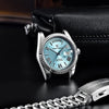 Pagani Design DD36 Men's Watches Luxury Automatic Watch (Limited Edition)