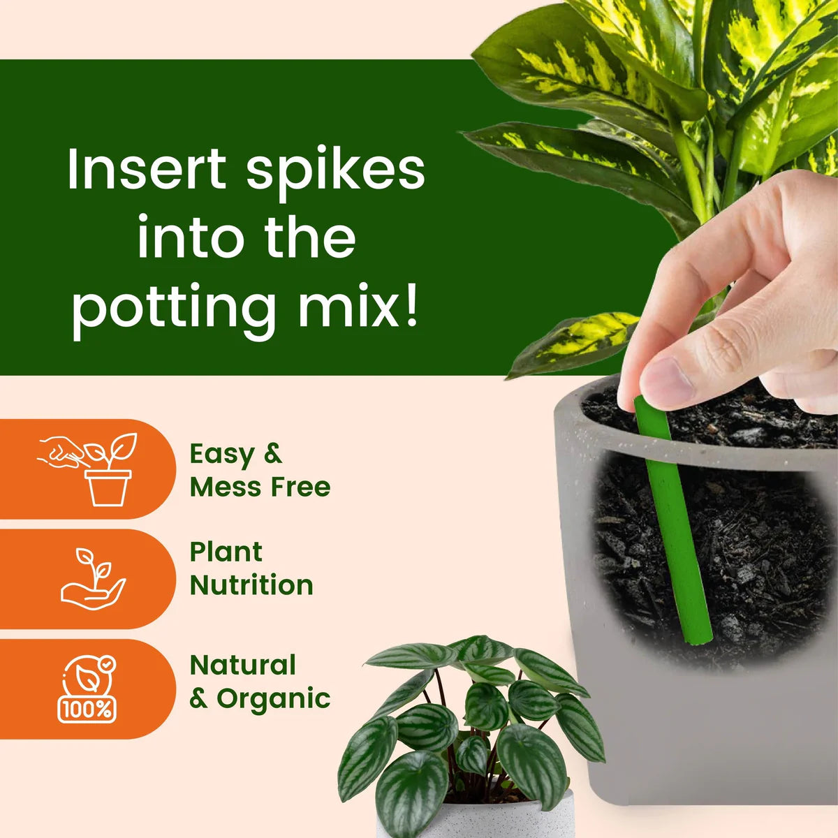 Dr.Green's - Magic Plant Sticks ( BUY 1 GET 1 FREE )