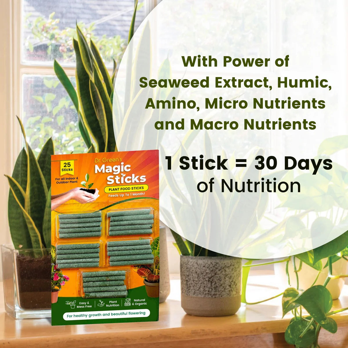 Dr.Green's - Magic Plant Sticks ( BUY 1 GET 1 FREE )