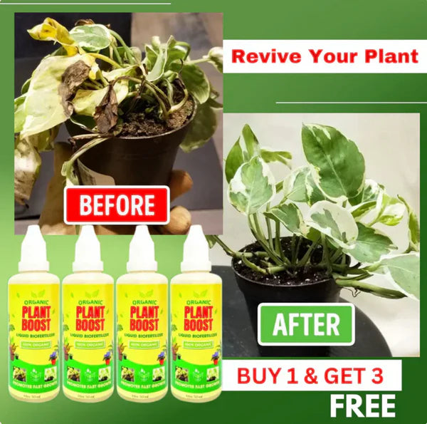 BIOPLANT™ Plant Boost Liquid Biofertilizer for All Crops,Organic (BUY 1 GET 3 FREE)